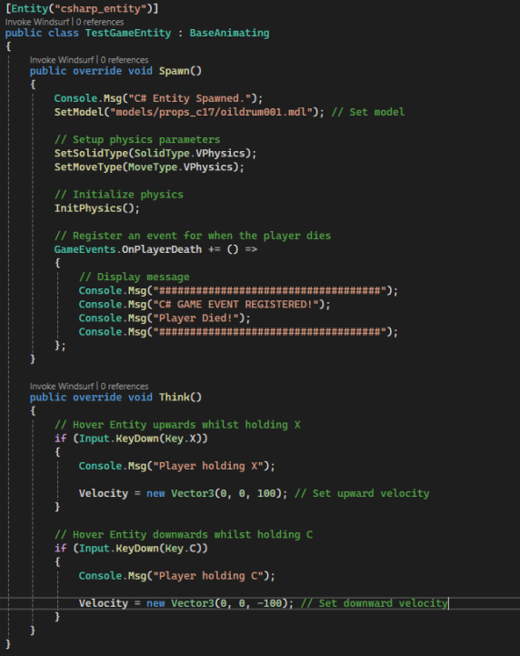 C# Source Entity